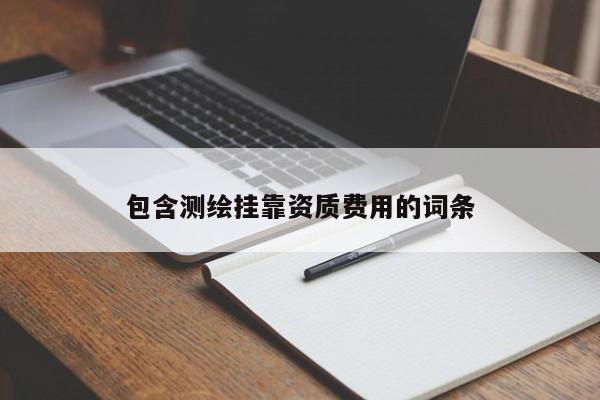 包含測(cè)繪 *** 資質(zhì)費(fèi)用的詞條