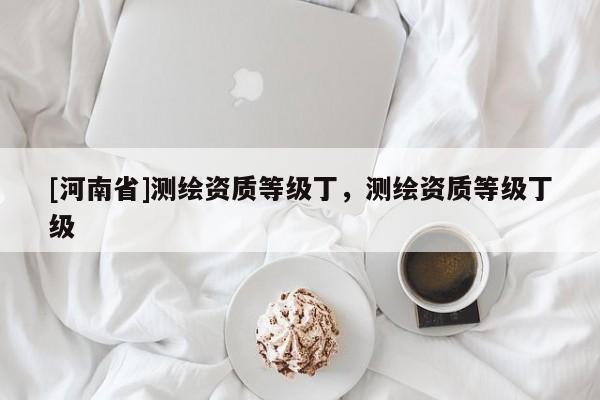 [河南省]測繪資質等級丁，測繪資質等級丁級